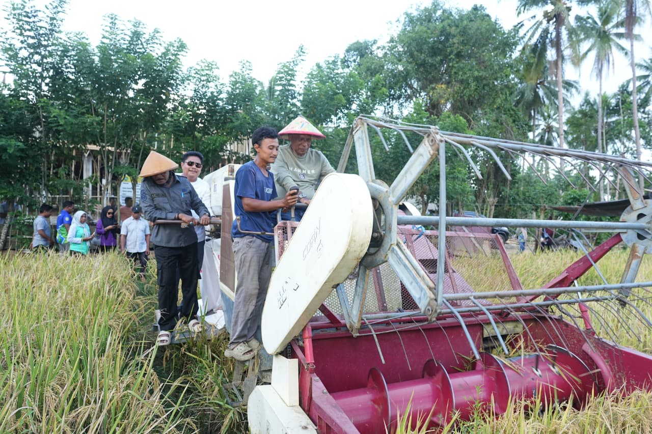 Pemda Kepulauan Sula Perkuat Ketahanan Pangan Lewat Program LP2B