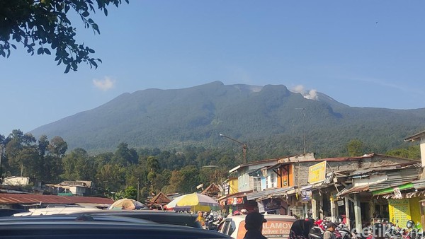 Puluhan Pendaki Ilegal di Gunung Gede Pangrango Disanksi Bayar 5 Kali Lipat